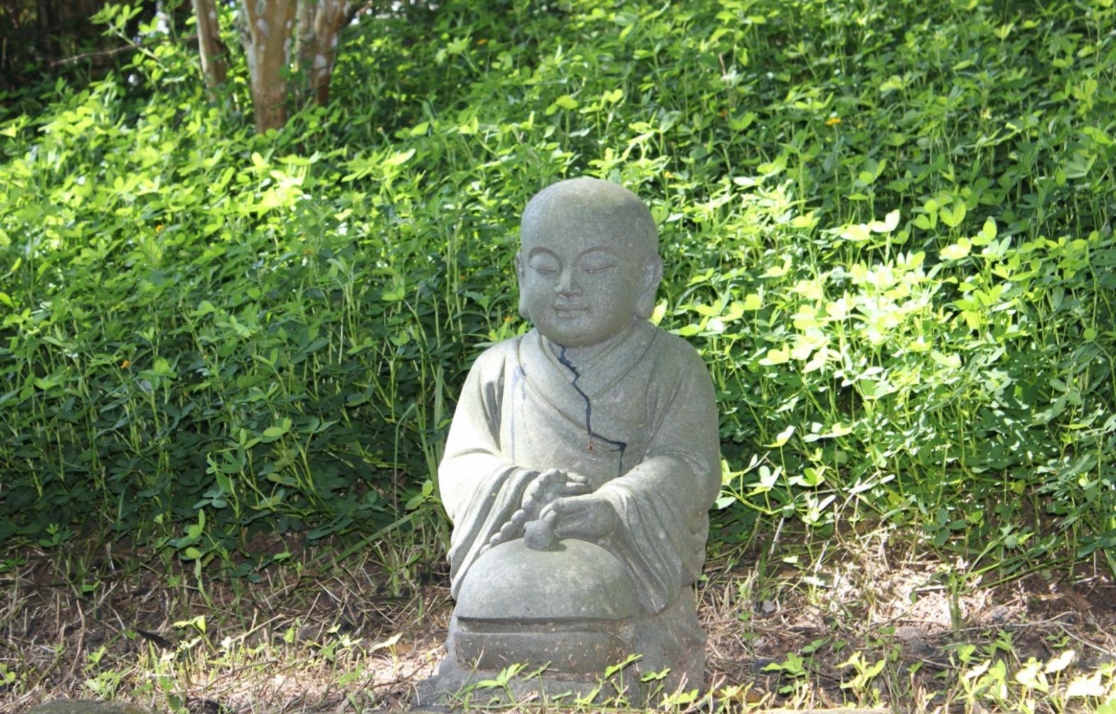 Espacio de práctica de yoga tranquilo con luz natural